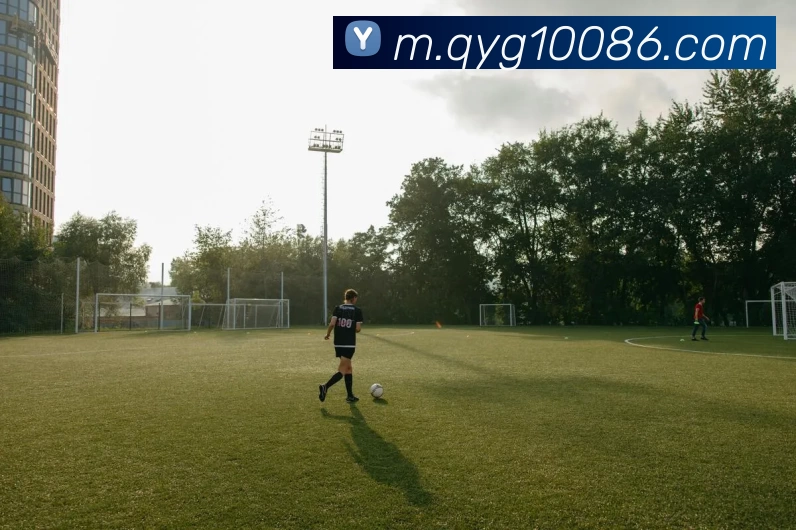 多媒体互动体验