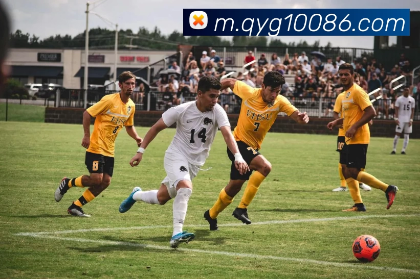 奇异果体育APP 高清赛事图